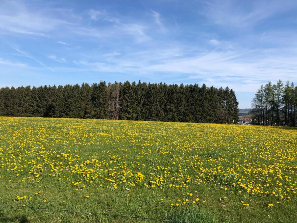 Ferienwohnung am Wald Hachenburg Exterior foto